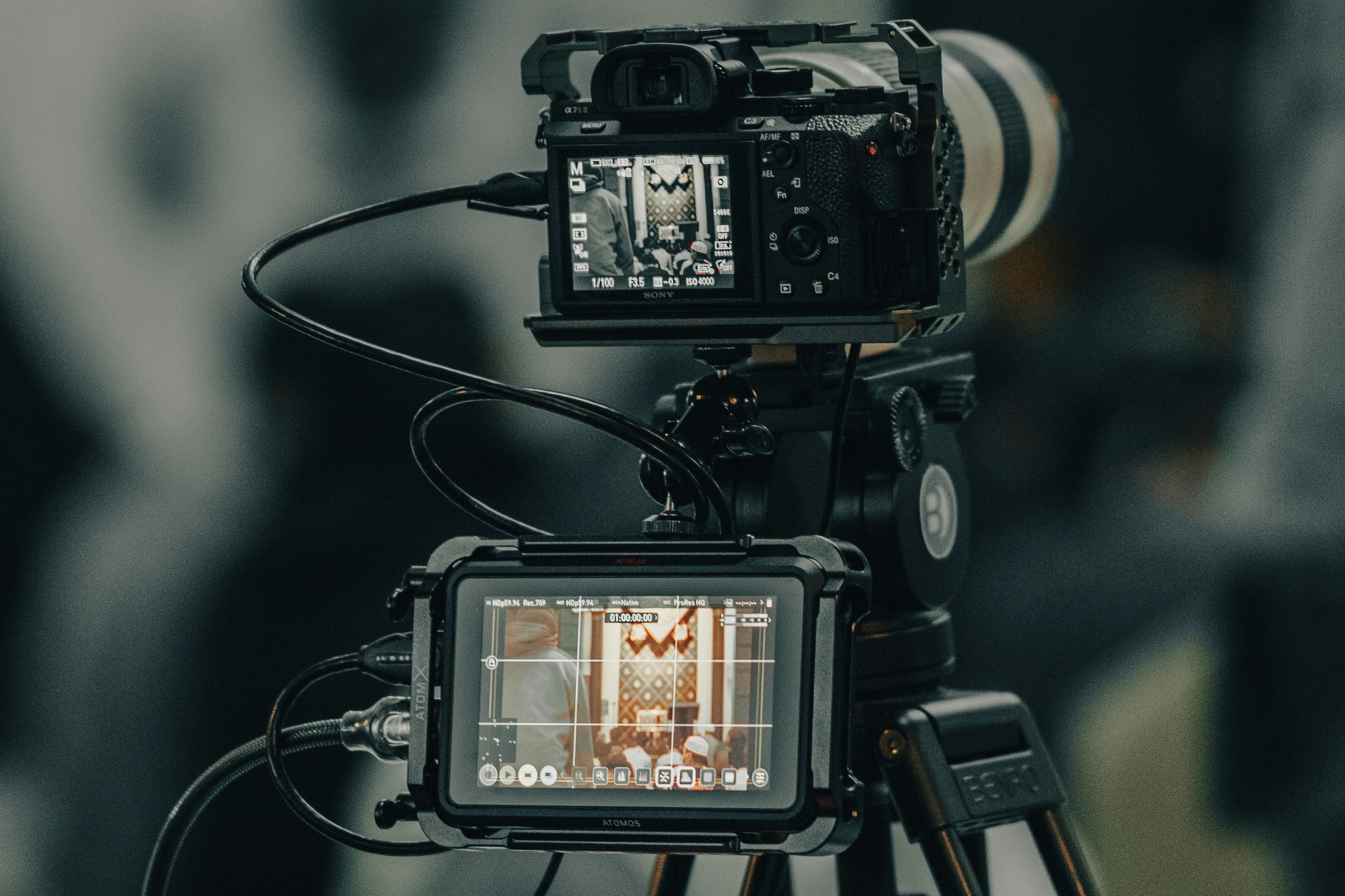 AV Film