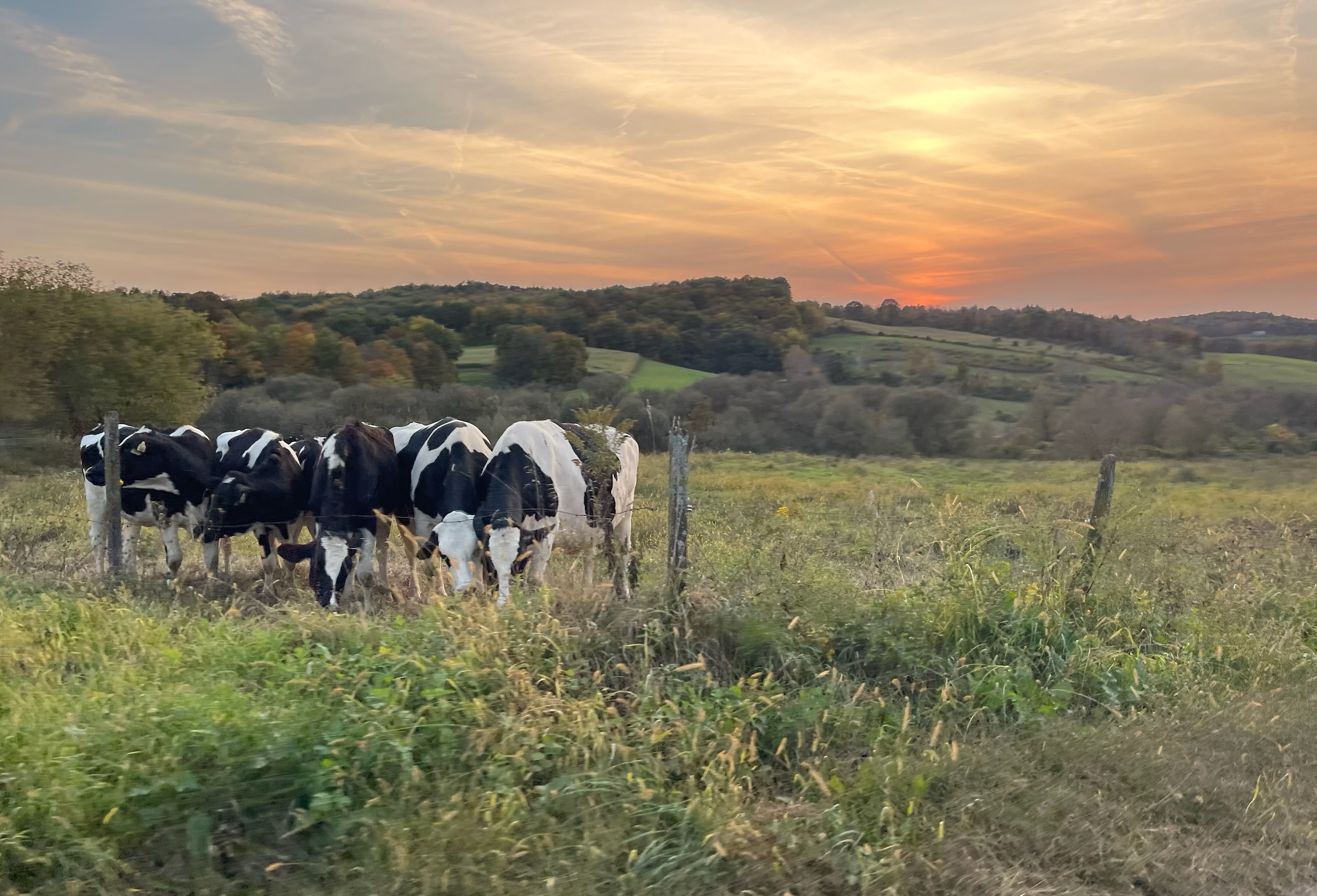farming in hoosick