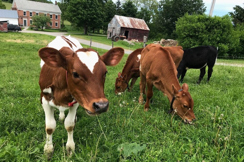 berle farm