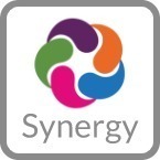 A logo featuring a circular design made up of four interlocking shapes in purple, green, orange, and blue, with the word 'Synergy' written below in a modern font.