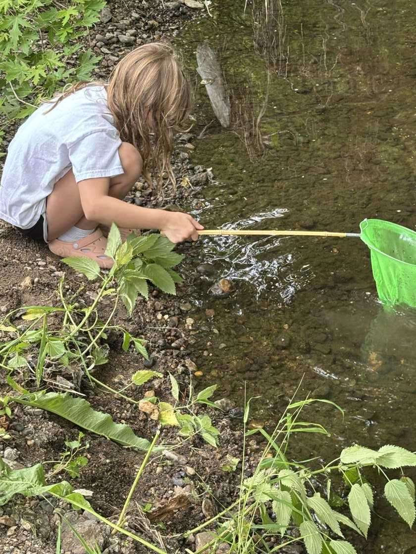 Child playing in creek