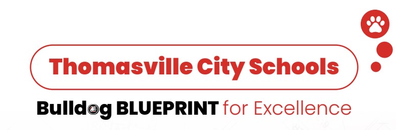 District Strategic Plan