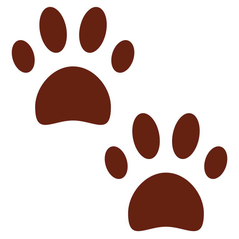 Two distinct paw prints displayed prominently against a solid black background, emphasizing their shape and texture.