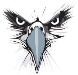 A stylized illustration of an eagle's face, featuring intense eyes and a prominent beak.