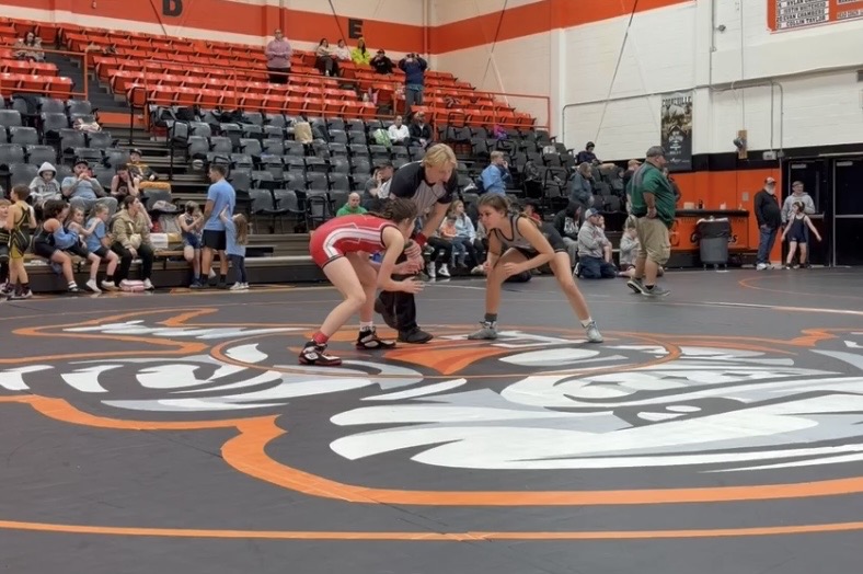 Girls wrestling photo