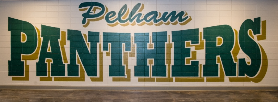 Pelham Panthers logo featuring a fierce panther design, symbolizing strength and team spirit in vibrant colors.