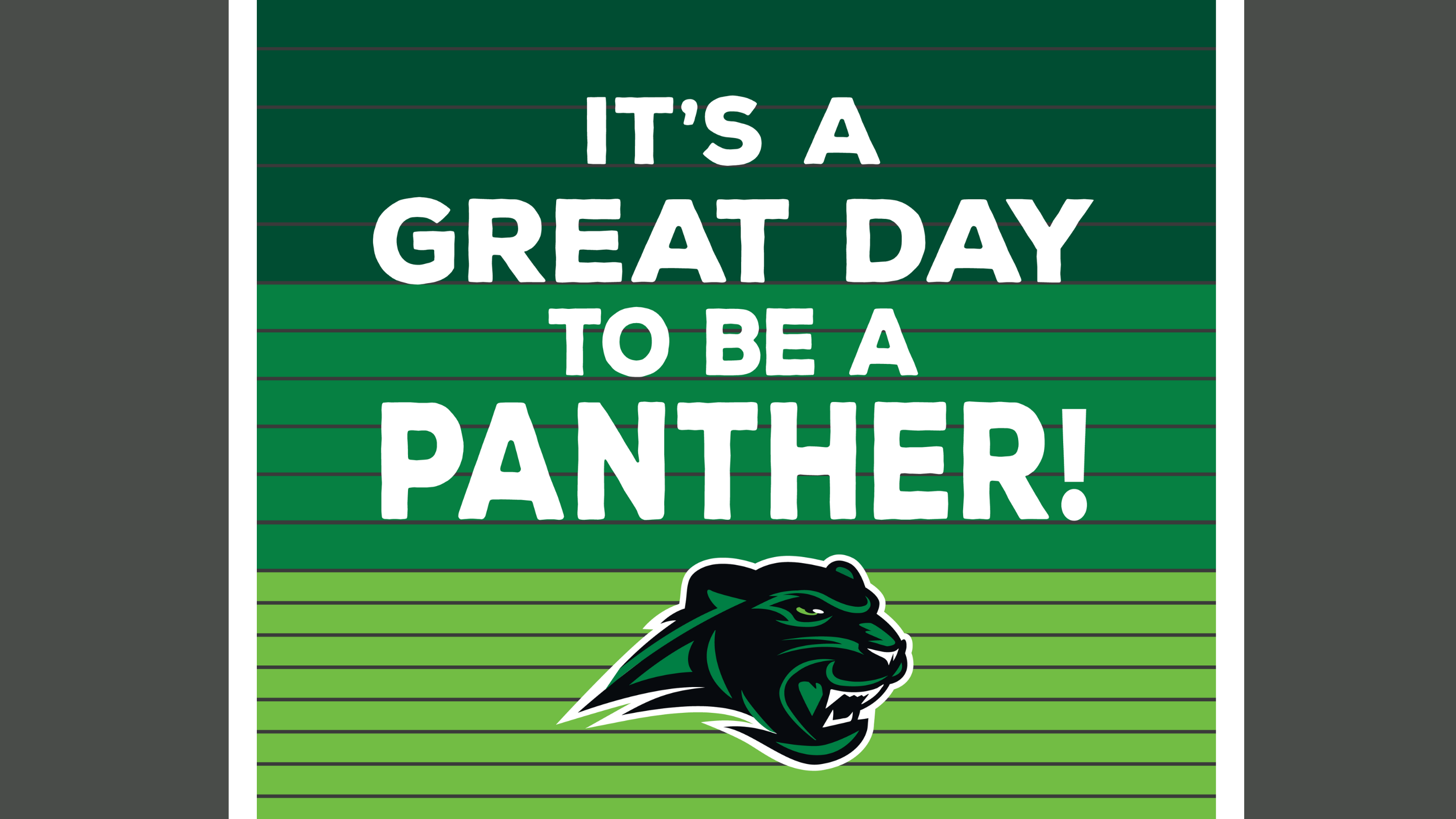 A colorful flyer promoting the It's a Great Day to be a Panther