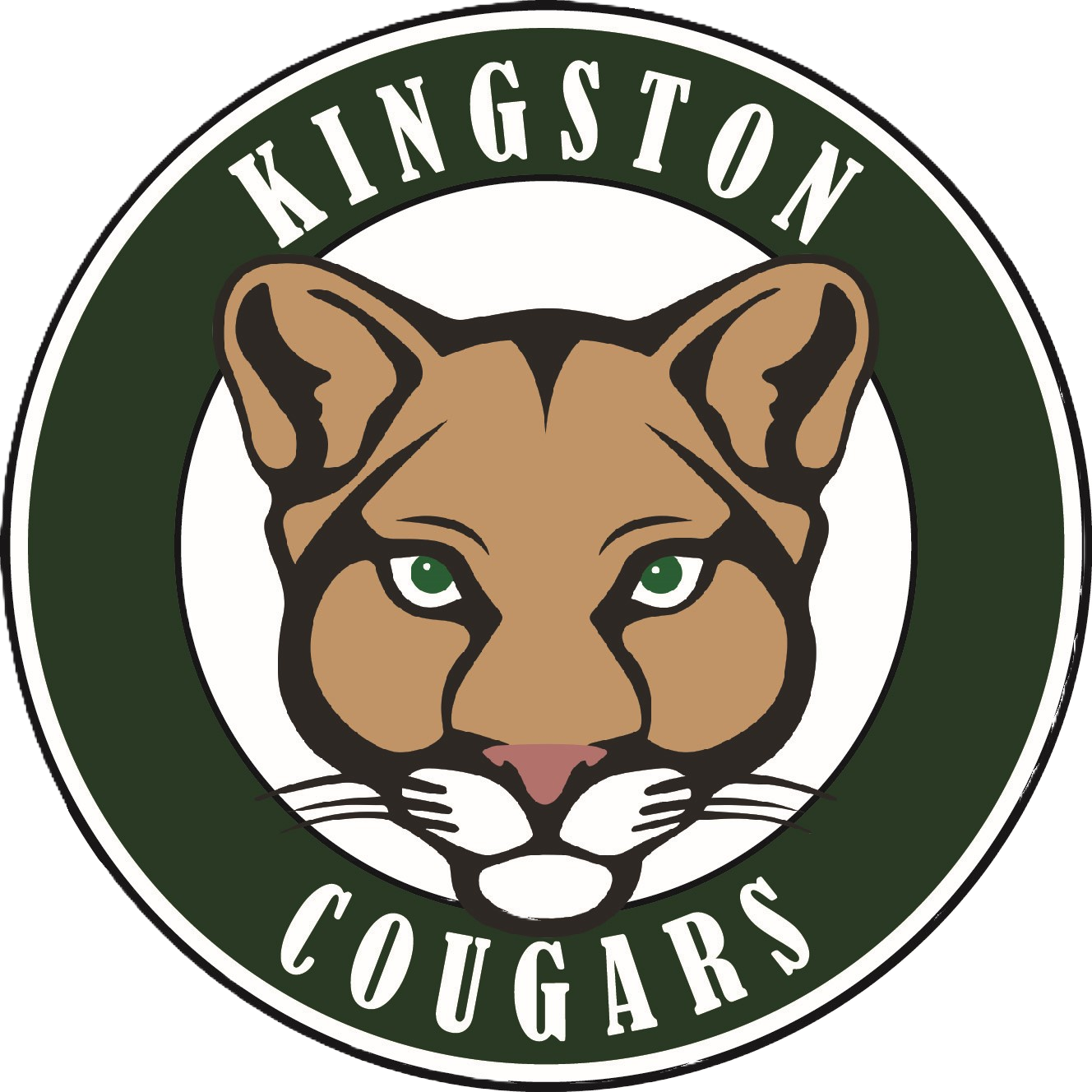 Kingston Logo