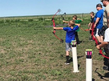A group of children practicing archery in a sunny field, focusing on their targets with bows and arrows in hand.