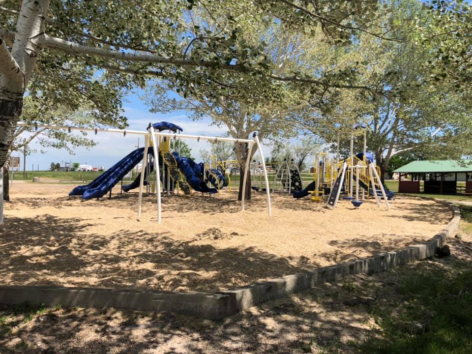 A vibrant playground featuring swings and slides, situated in the heart of a lush green park.