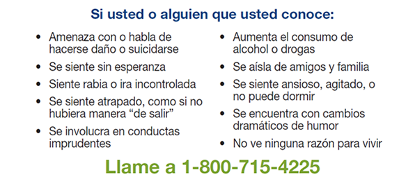 GaCrisisSpanish