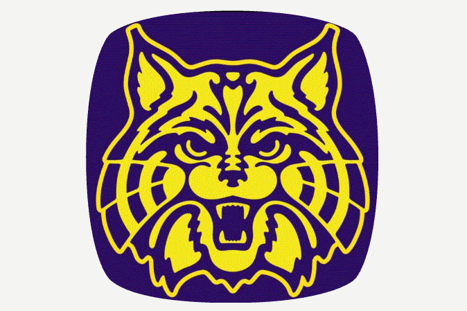 MT OLIVE HIGH SCHOOL LOGO