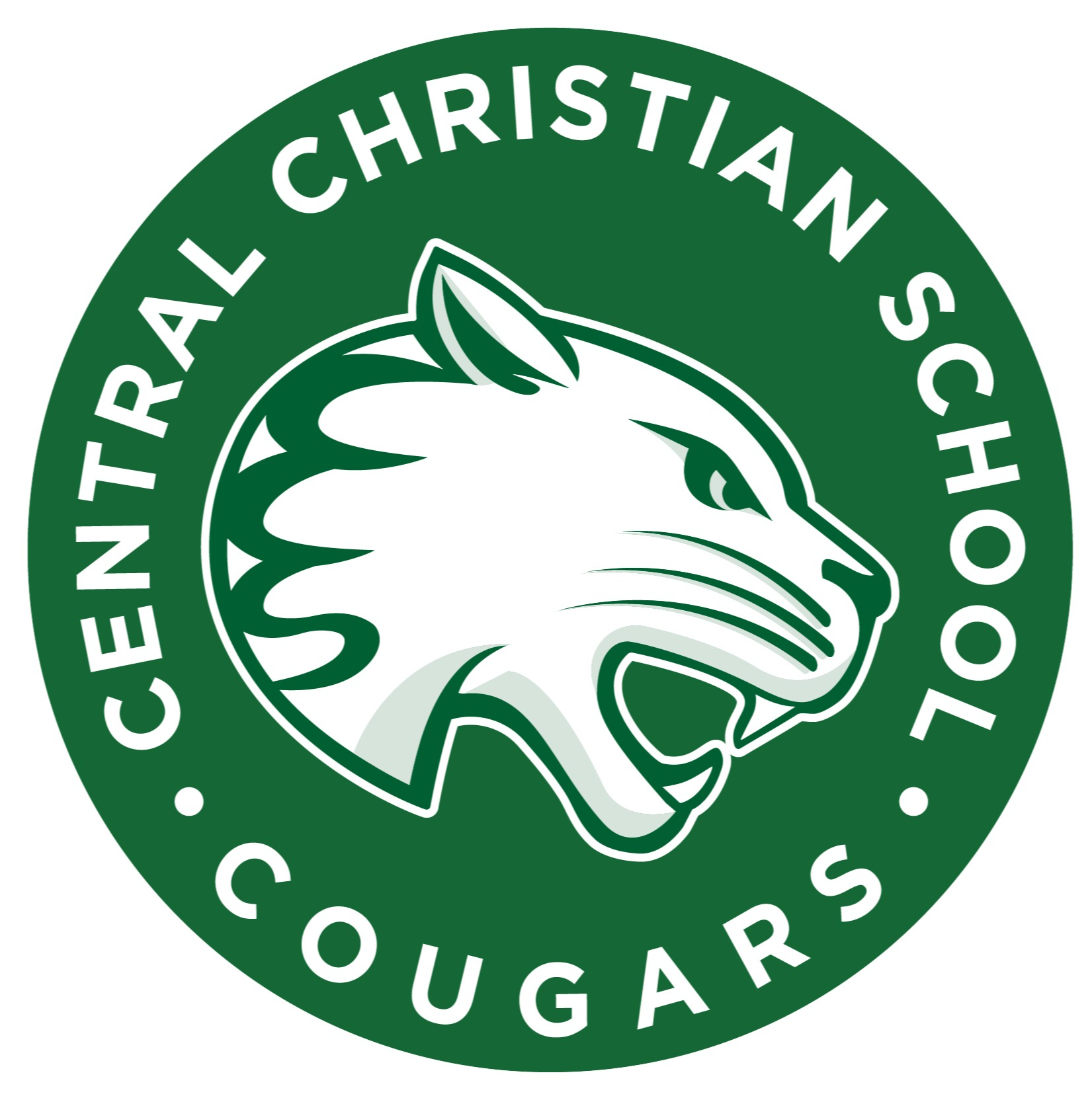 he CCS logo displayed prominently in green and blue colors, symbolizing innovation and sustainability.