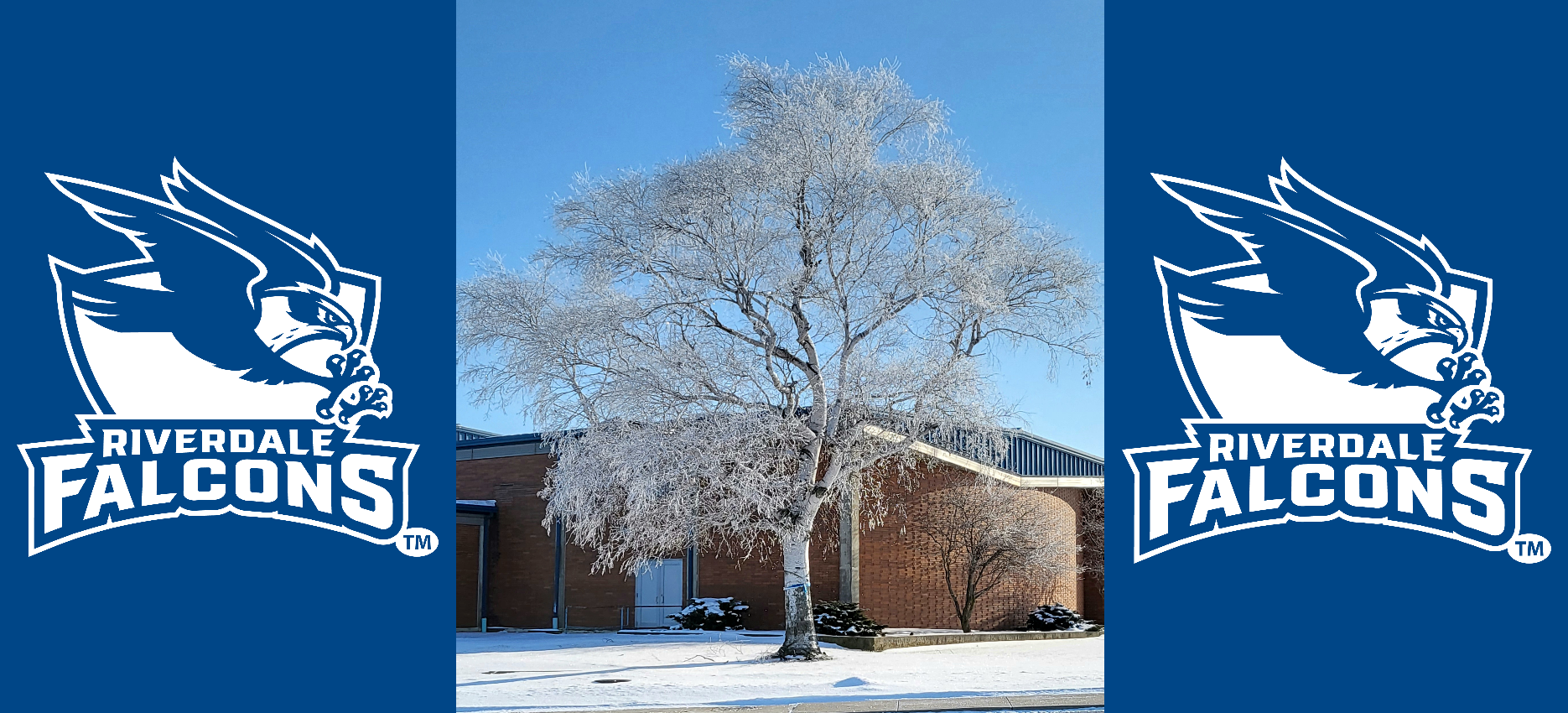 Snowy Tree with Falcon Shield