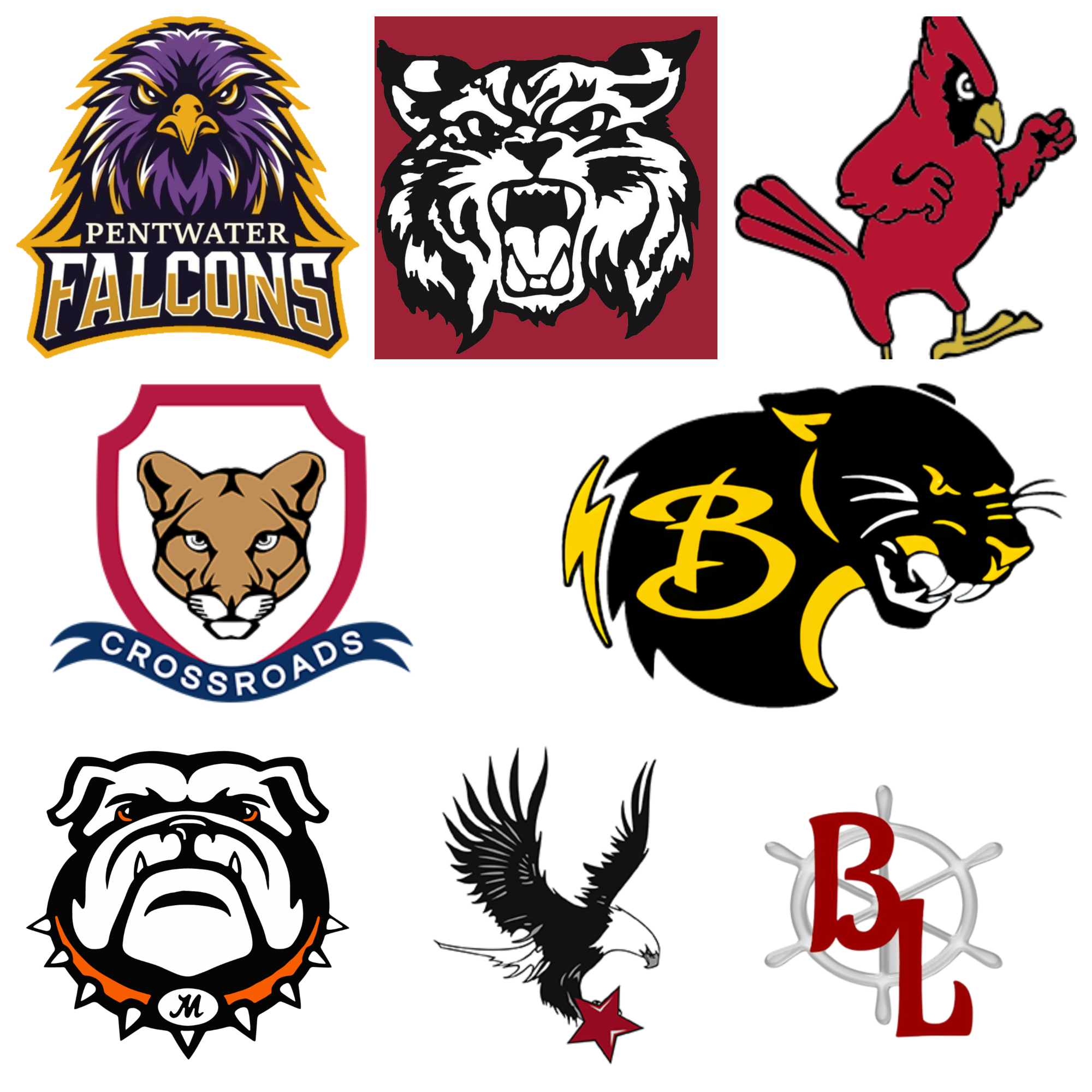 Pictures are the mascots of the schools that are in the West Michigan D League
