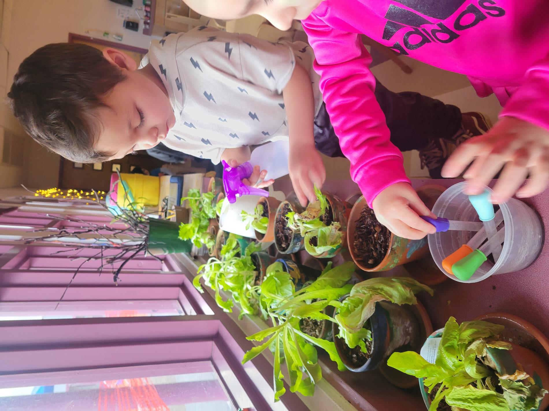 Two children care for potted plants, with one using a spray bottle and the other measuring liquid with colorful droppers at a classroom window.