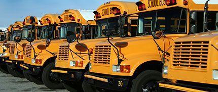 buses