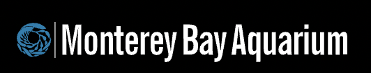 Monterey Bay Aquarium logo featuring a stylized sea creature design and vibrant colors representing marine life.