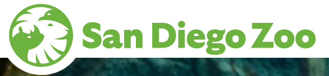 San Diego Zoo logo displayed prominently against a vibrant green background, symbolizing wildlife conservation and nature.