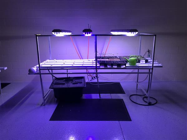A hydroponic growing setup featuring a metal table with multiple plant trays under bright LED grow lights, surrounded by a clean, polished floor.