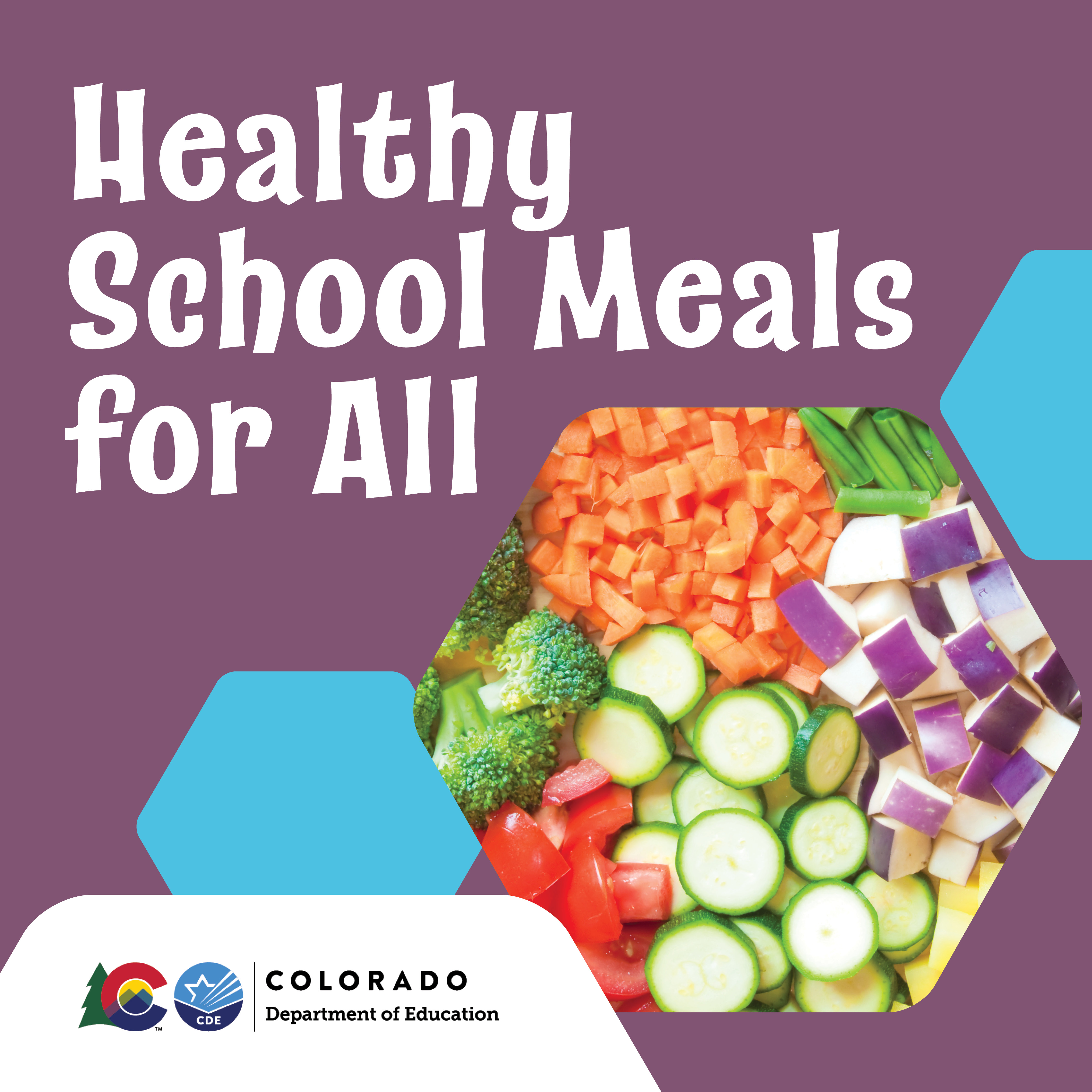 Healthy school meals for all flyer