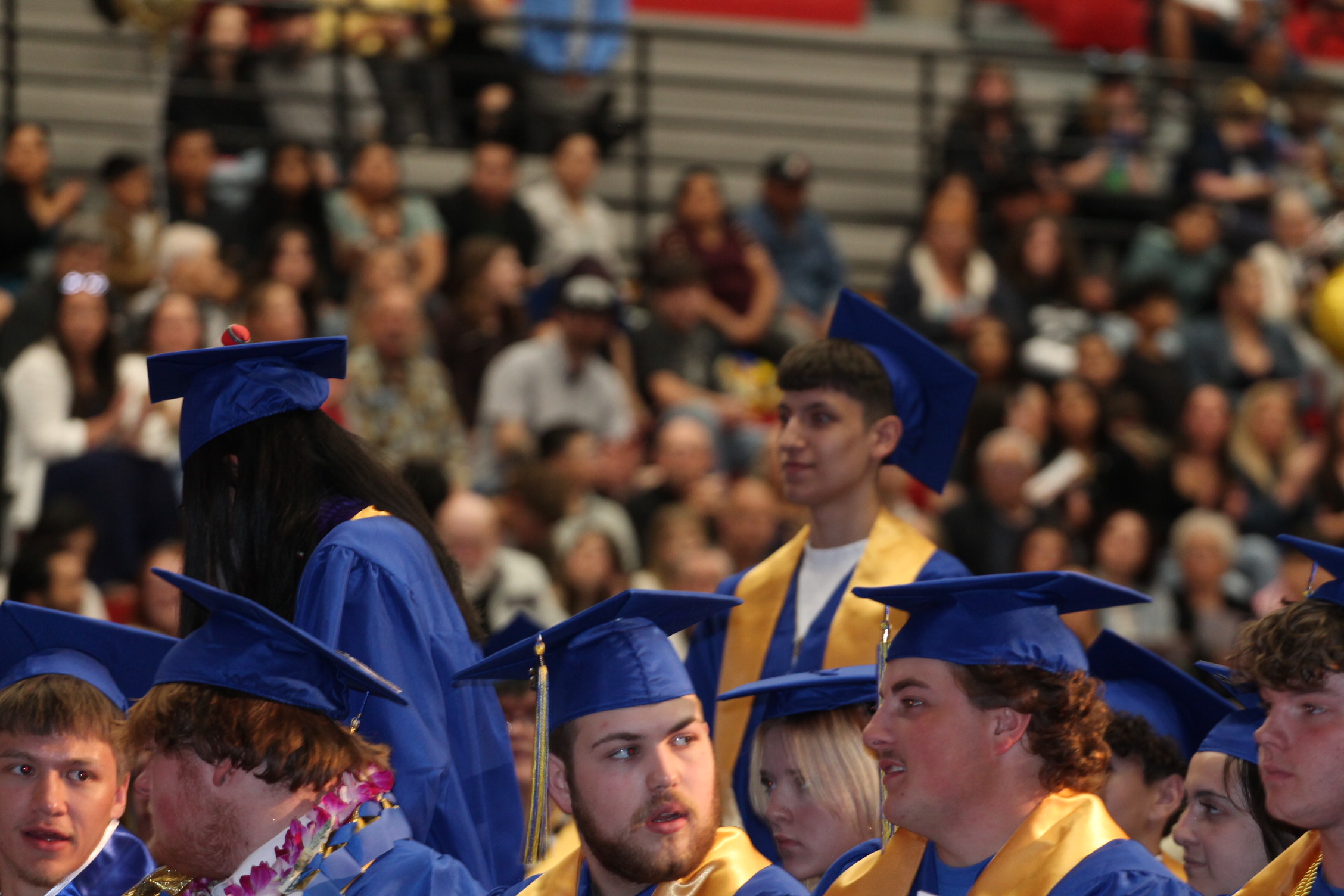 A group of individuals in blue graduation caps and gowns, standing in front of a crowd of seated spectators.