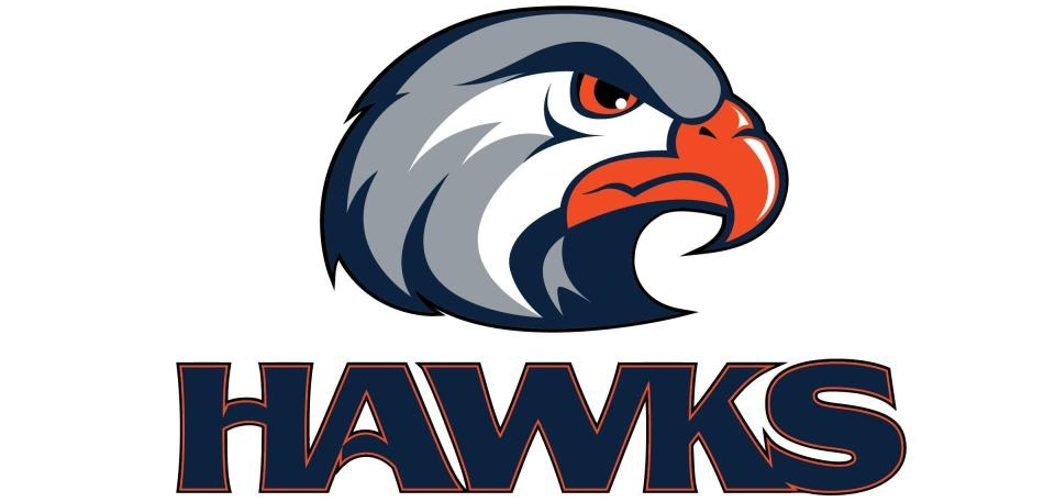 Hawks
