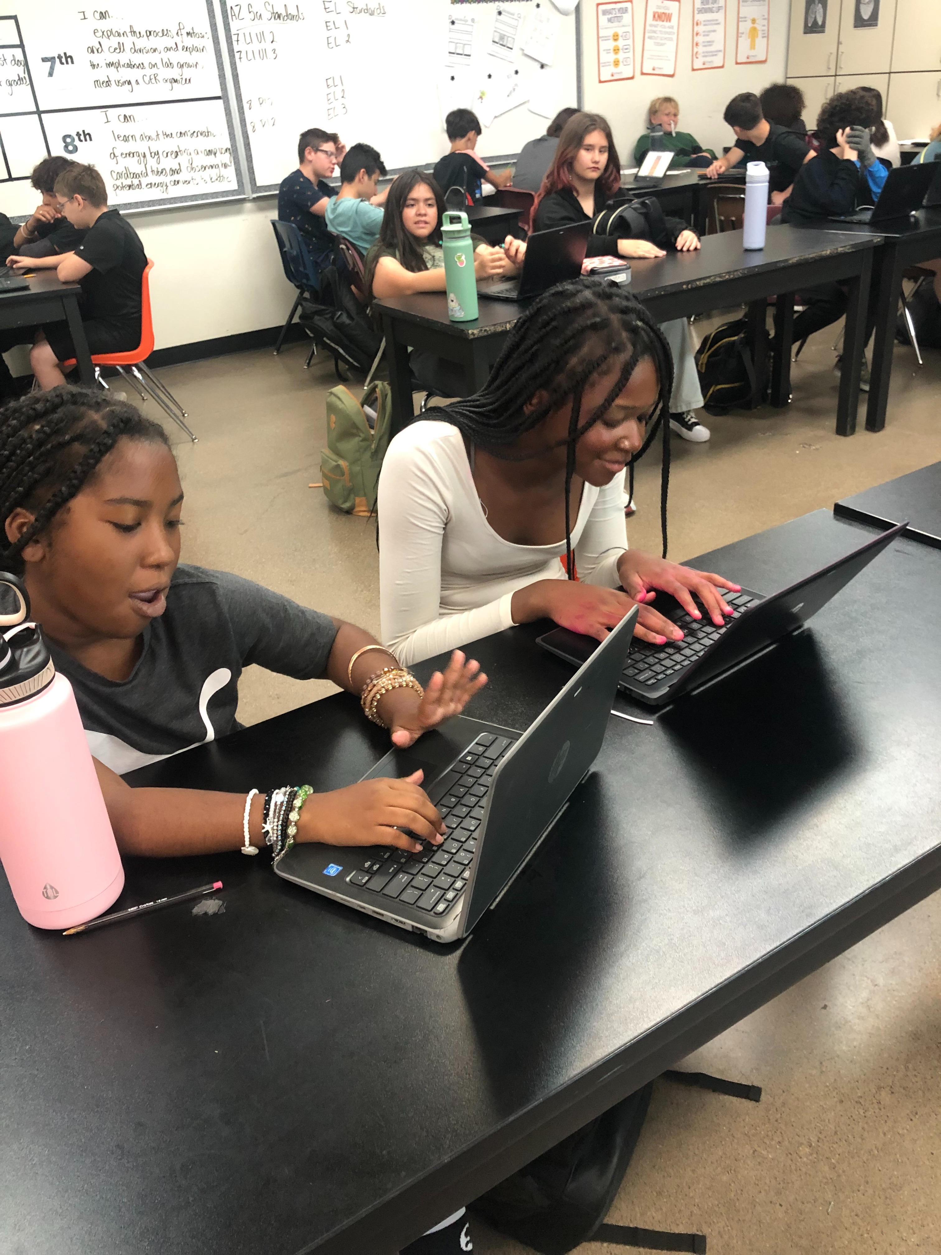 Students working on laptops