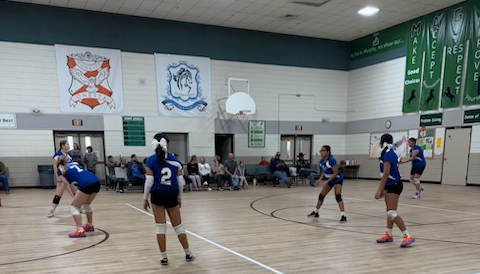 Girls volleyball team