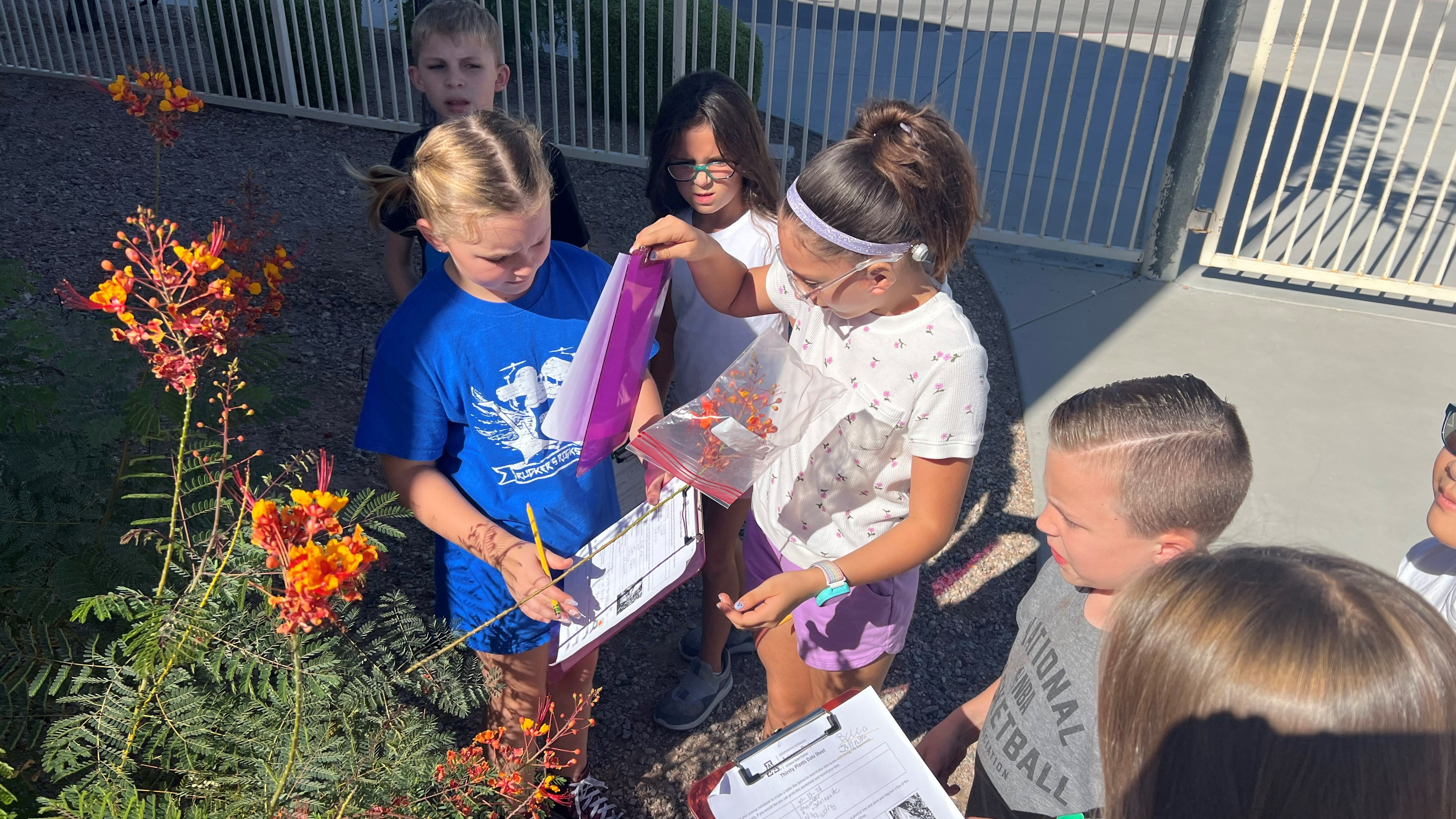Students engaged in outdoor learning