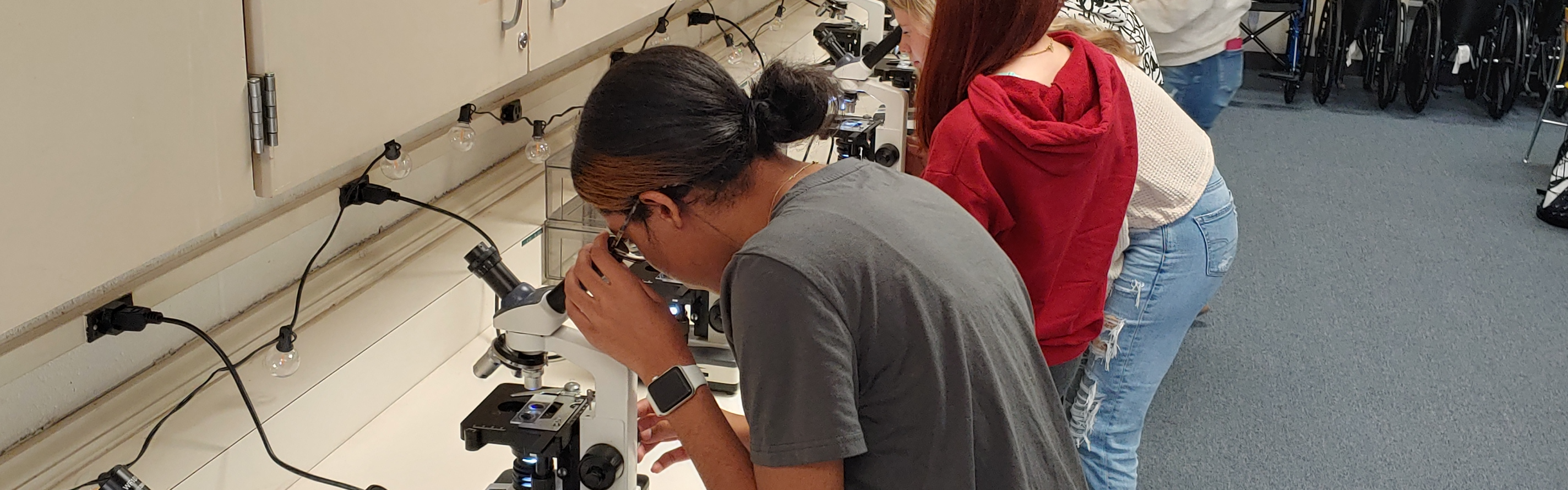 microscope