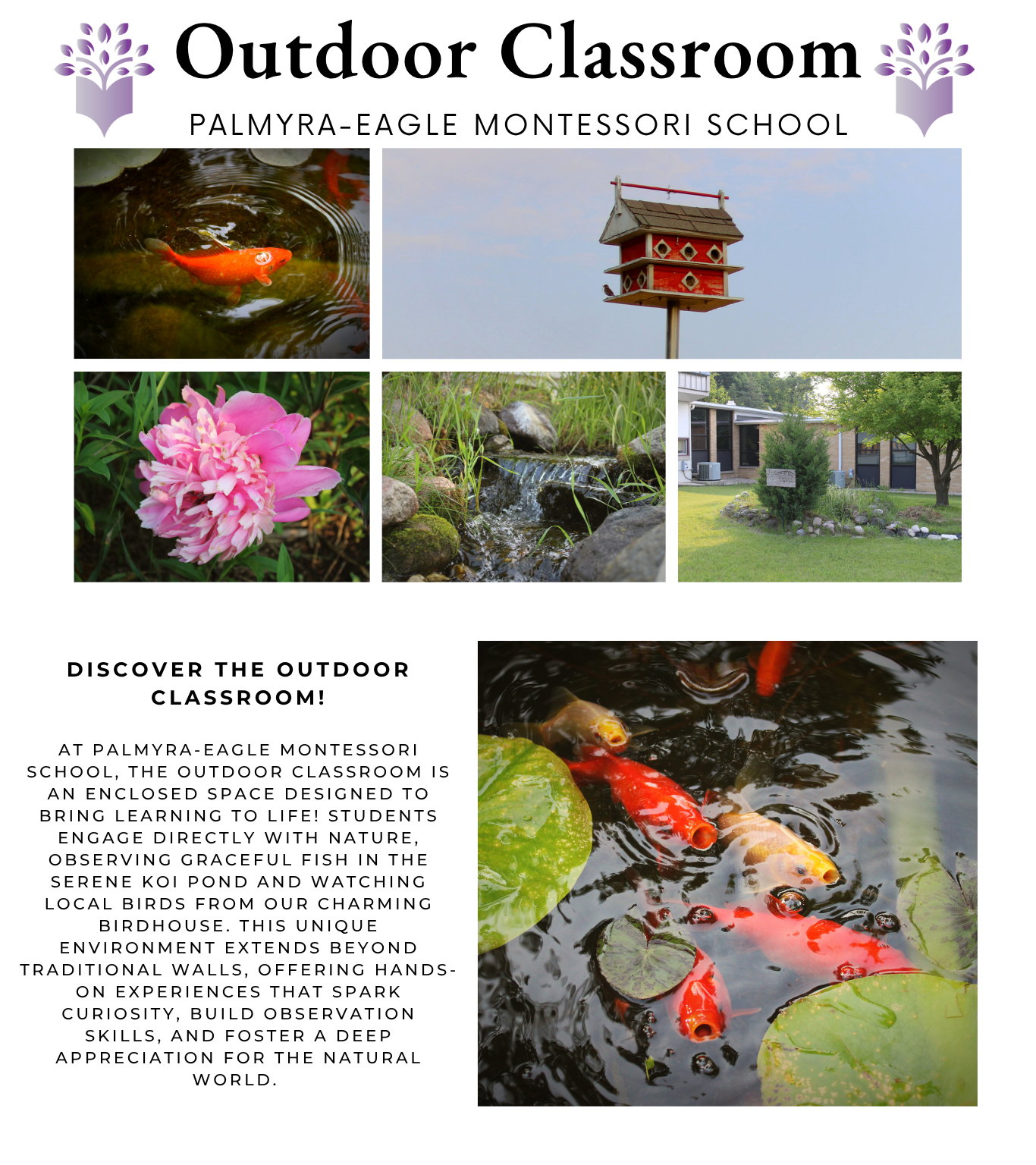 Outdoor Classroom