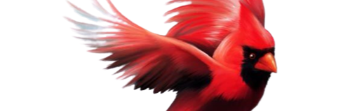 RedBirds