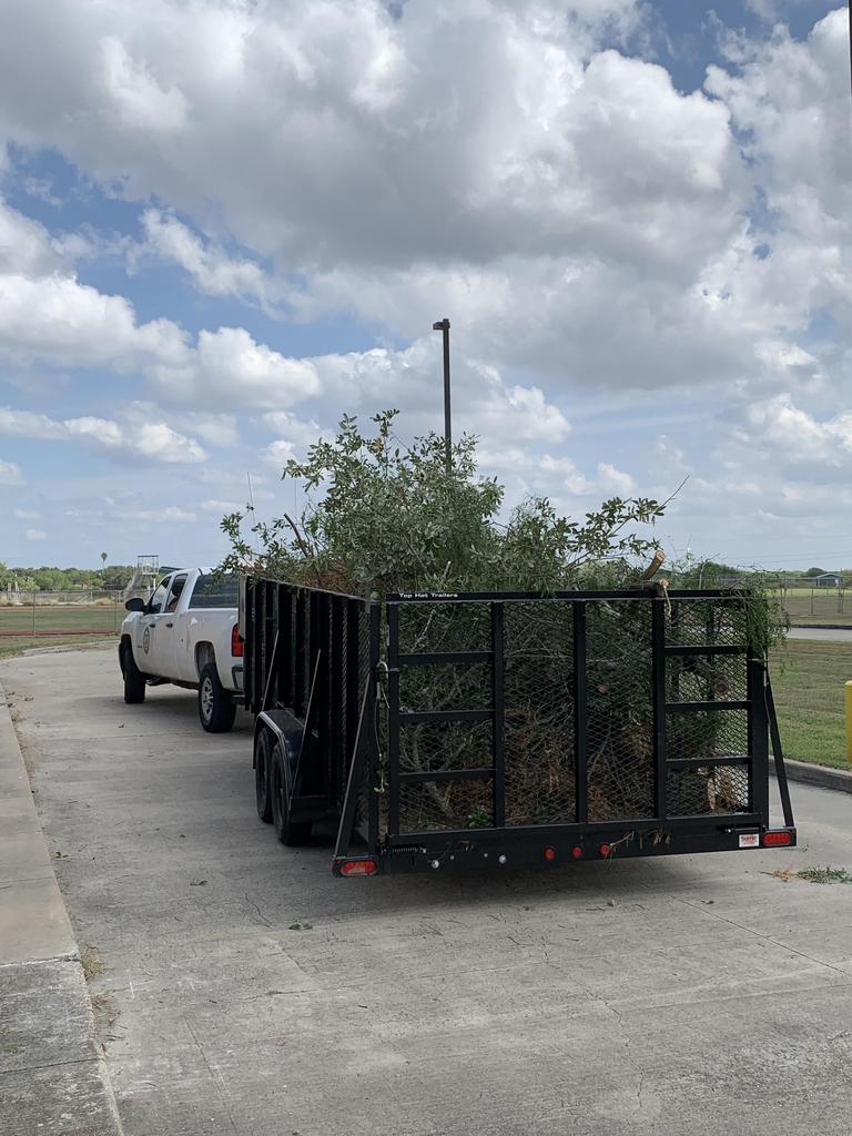 A truck transporting a variety of plants in its cargo area, showcasing greenery and vibrant foliage.