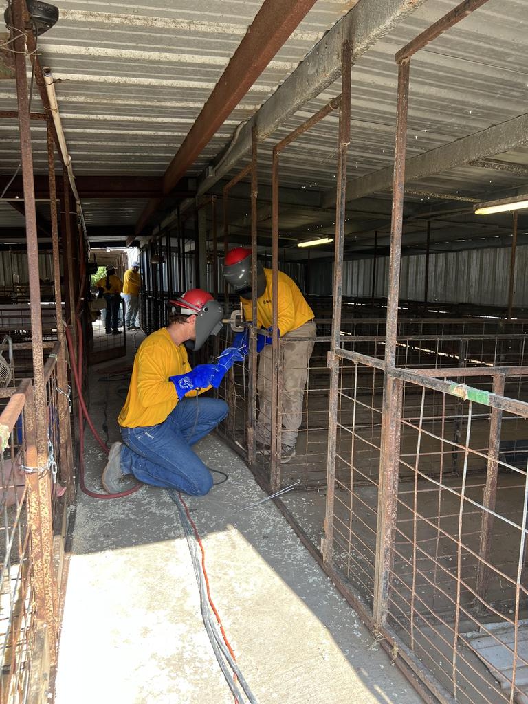 Two men in yellow shirts are constructing a cage inside a barn, focused on their task amidst the rustic surroundings.