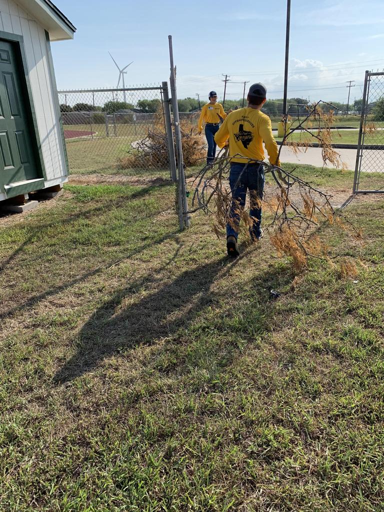Two men in yellow shirts are diligently constructing a wooden fence in a sunny outdoor setting.