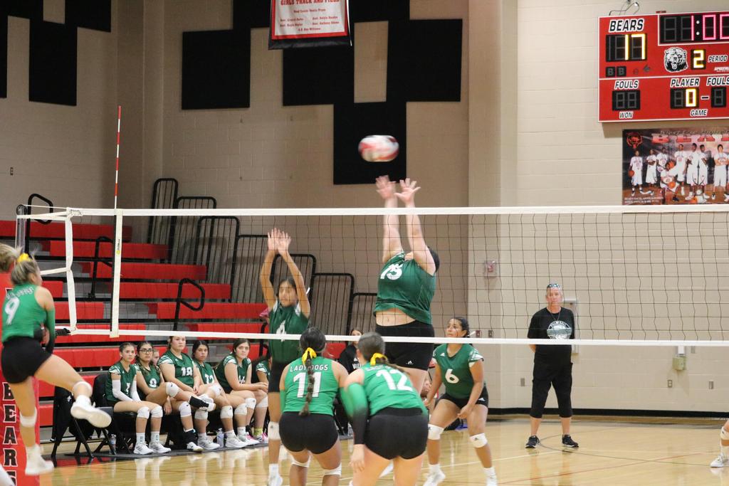 A volleyball player strikes the ball with her arm, showcasing athleticism and precision in motion.