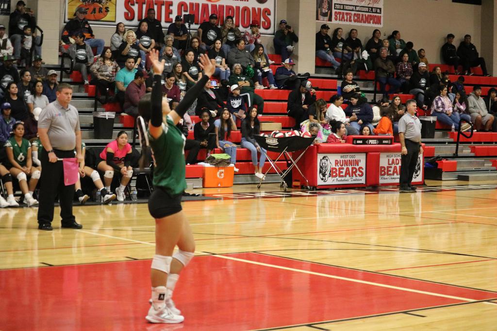 A girl in green and white attire skillfully playing volleyball on a sunny day, showcasing her athleticism and focus.