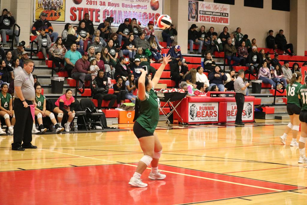 A volleyball team competes energetically in a gymnasium, showcasing teamwork and athleticism during a match.