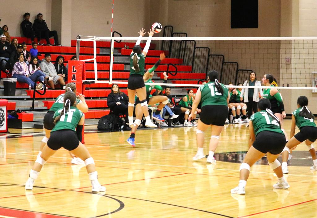 A volleyball team competes energetically in a gymnasium, showcasing teamwork and athleticism during a match.