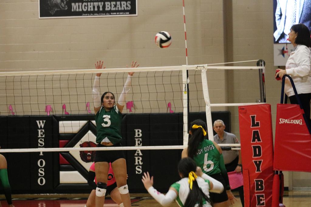 A volleyball team competes energetically during a match, showcasing teamwork and athleticism on the court.