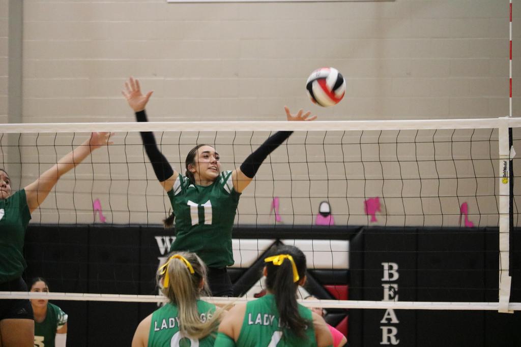 A volleyball player extends their arm to hit the ball during a match, showcasing athleticism and focus.