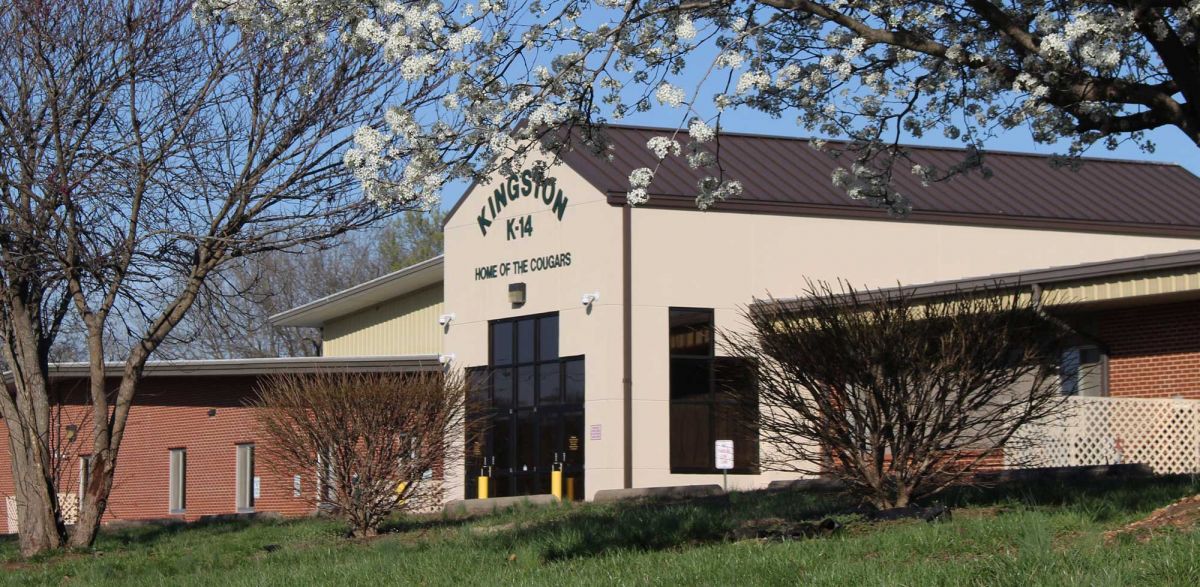 A large tree stands prominently in front of a building, creating a harmonious blend of nature and architecture.
