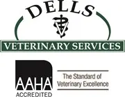 A professional veterinarian examining a dog, showcasing Dell's veterinary services in a caring environment.