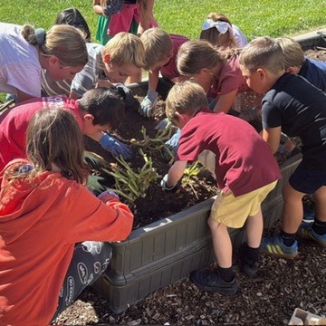 Students in garden