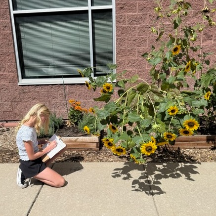 Notes by sunflowers