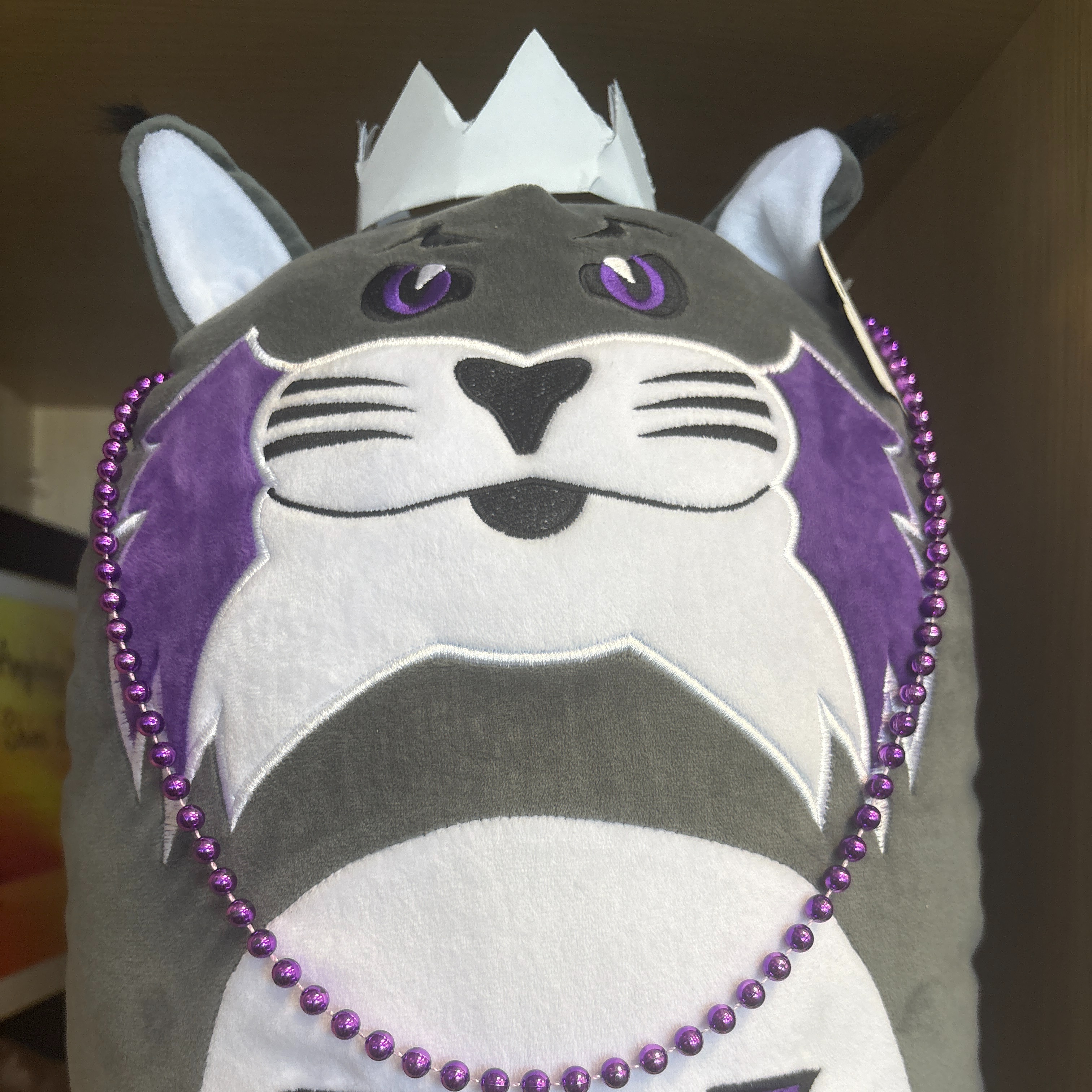 Wasatch Mascot a Wildcat named waffles
