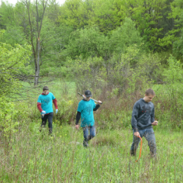 Three young individuals in teal shirts walking through a lush green field, engaged in environmental conservation activities.