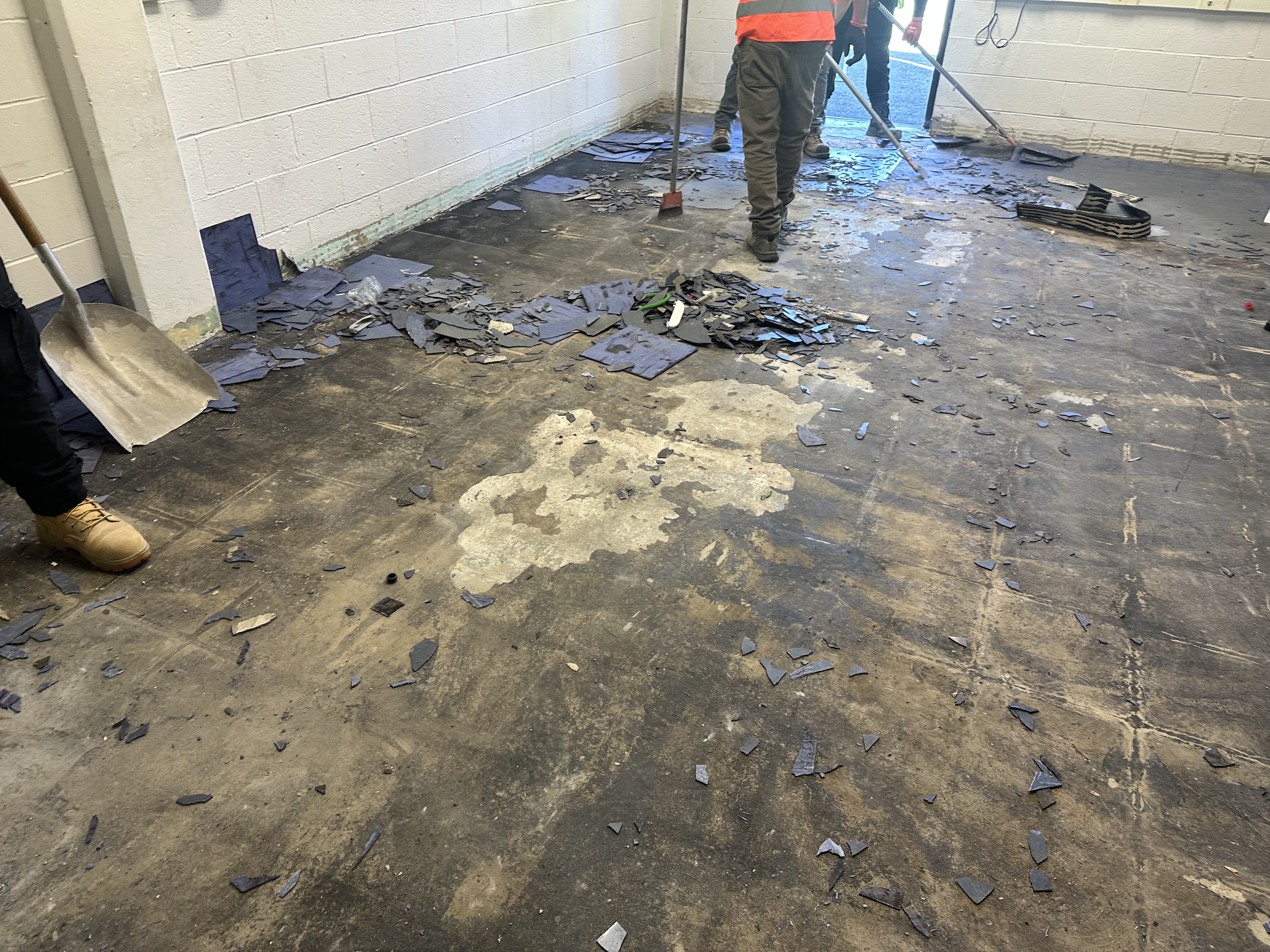 Projects Progress