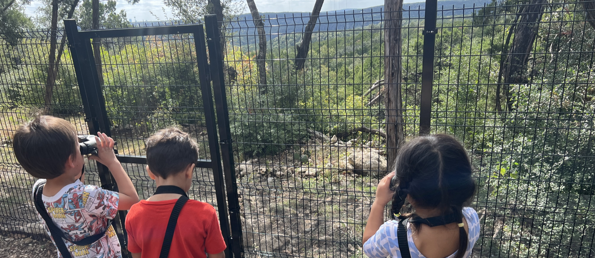 Bird watching in the preserve